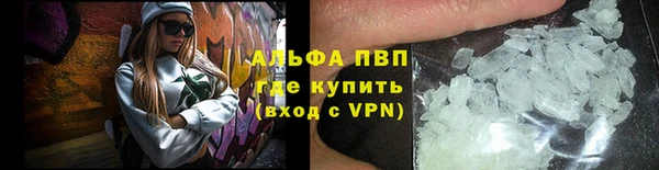 спиды Богородск