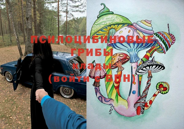 винт Богородицк